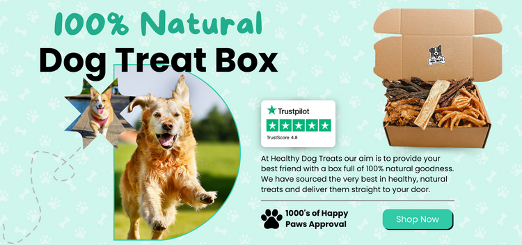 100% natural dog treats