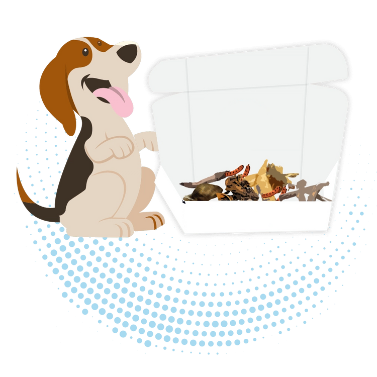 Unwrap your dogs box of healthy goodies!